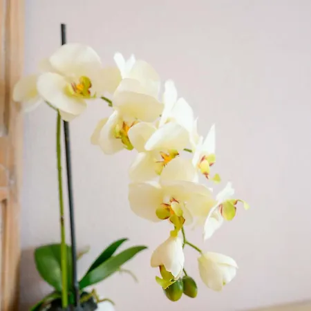 La Rosa Dei Venti Bed & Breakfast 4*