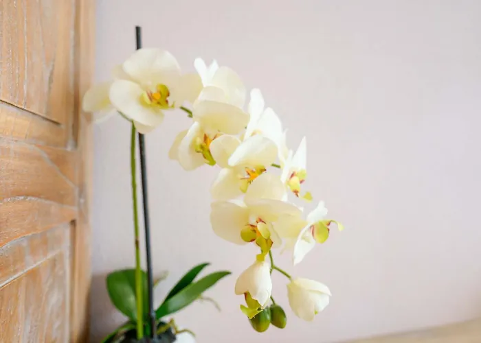 La Rosa Dei Venti Bed and breakfast 4*